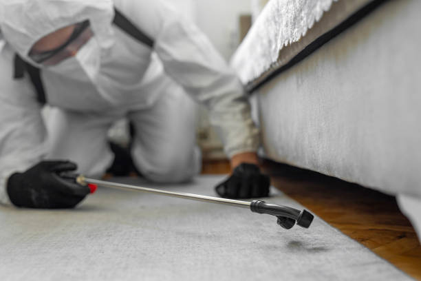 Professional Cockroach Control technician working in Farmland, IN