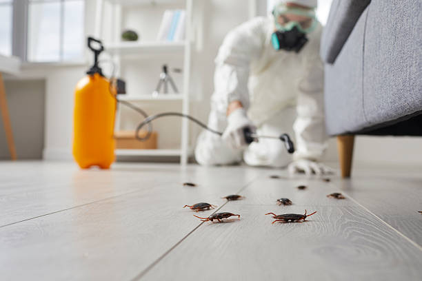 Trusted Cockroach Control service in Farmland, IN - Nex Pest Control