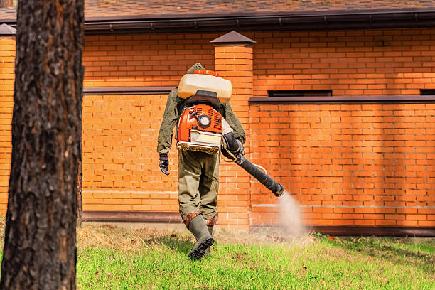 Trusted Ant Control service in Farmland, IN - Nex Pest Control